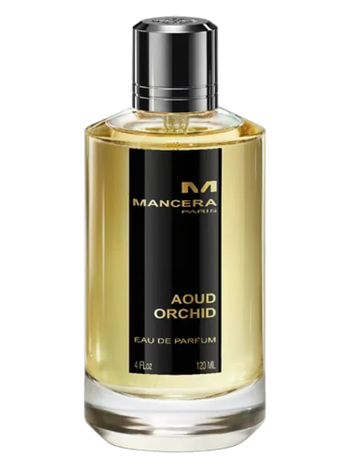 Mancera ORCHID